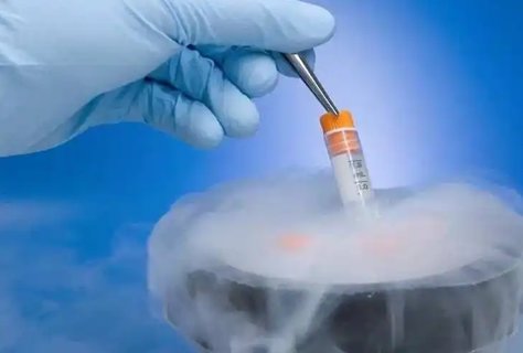 5个月代生宝宝食谱